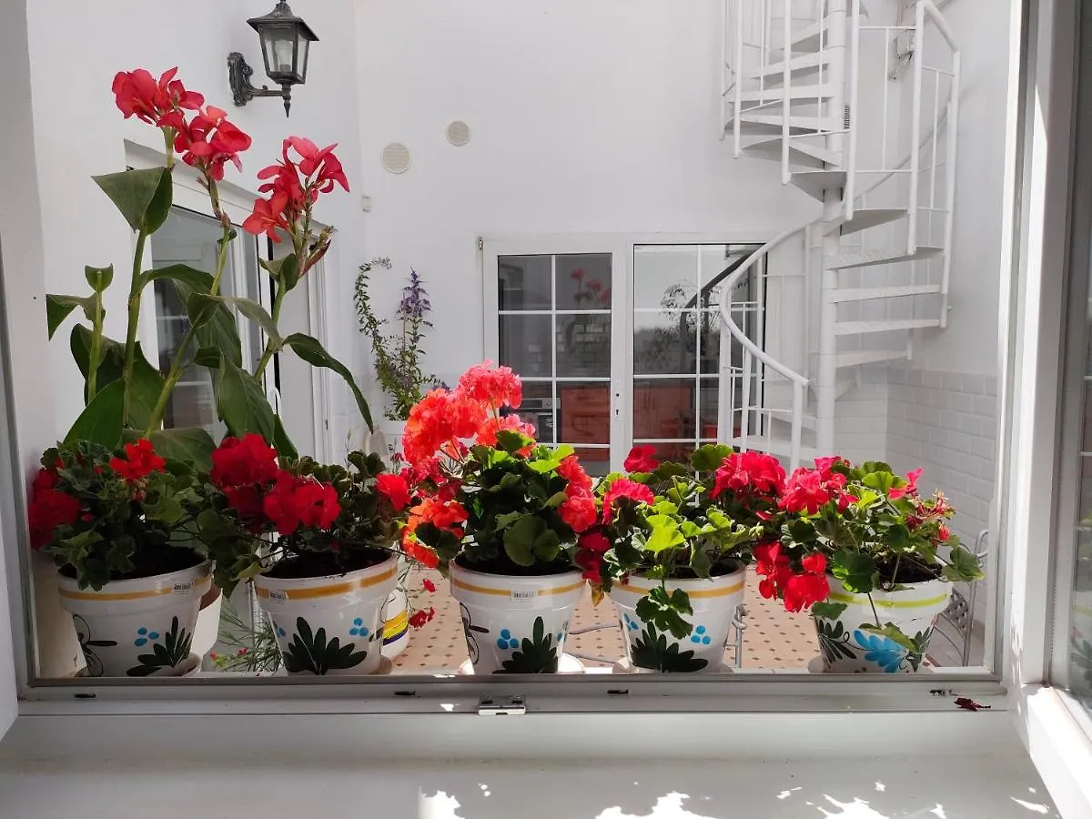 Appartement Casa Alba 1 à Puerto del Rosario  Puerto del Rosario (Fuerteventura)