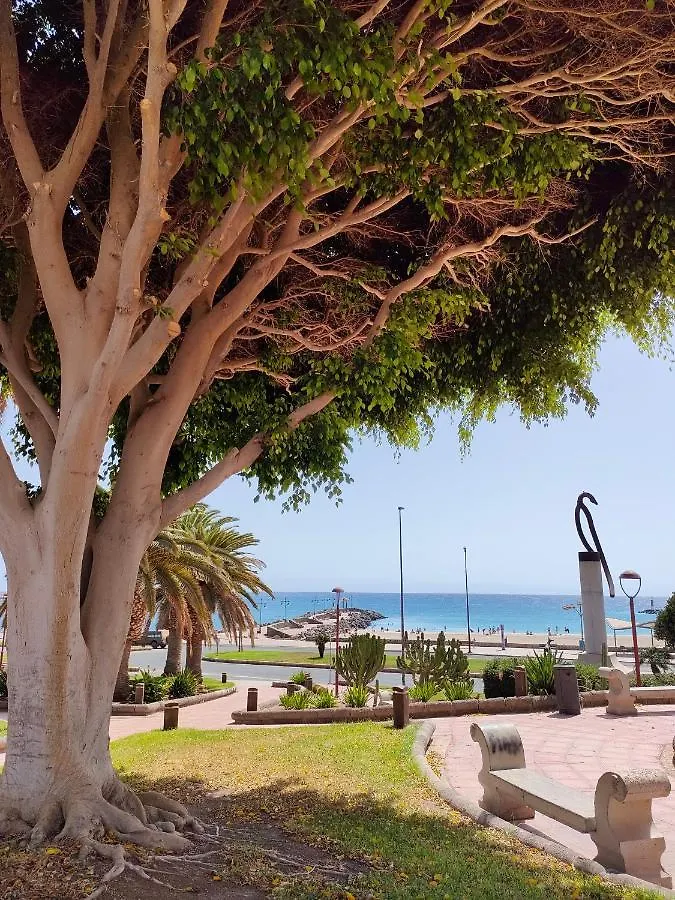 Appartamento Casa Alba 1 Puerto del Rosario  0*, Puerto del Rosario (Fuerteventura) Spagna